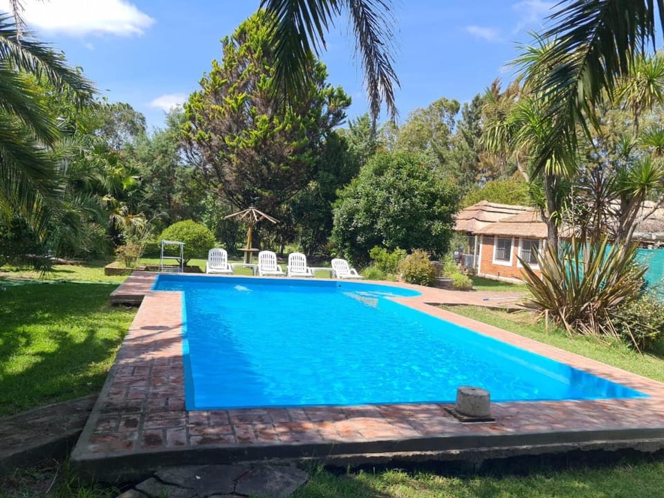 Day, Pool view, Swimming pool, Swimming pool, sunbed