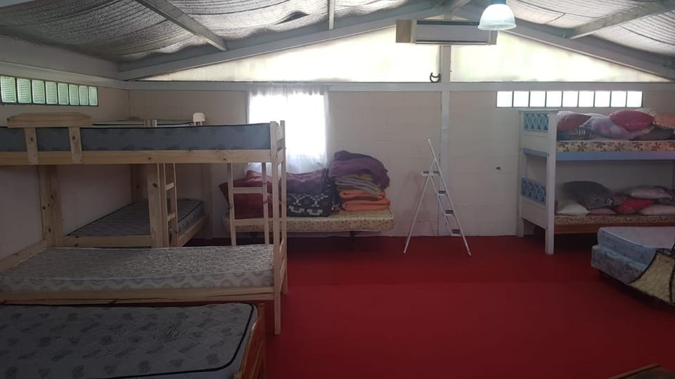 Bed, Photo of the whole room, Bedroom, bunk bed