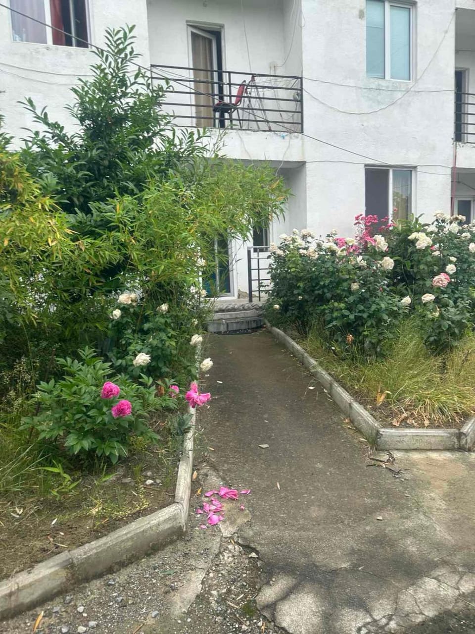 Spring, Day, Garden view