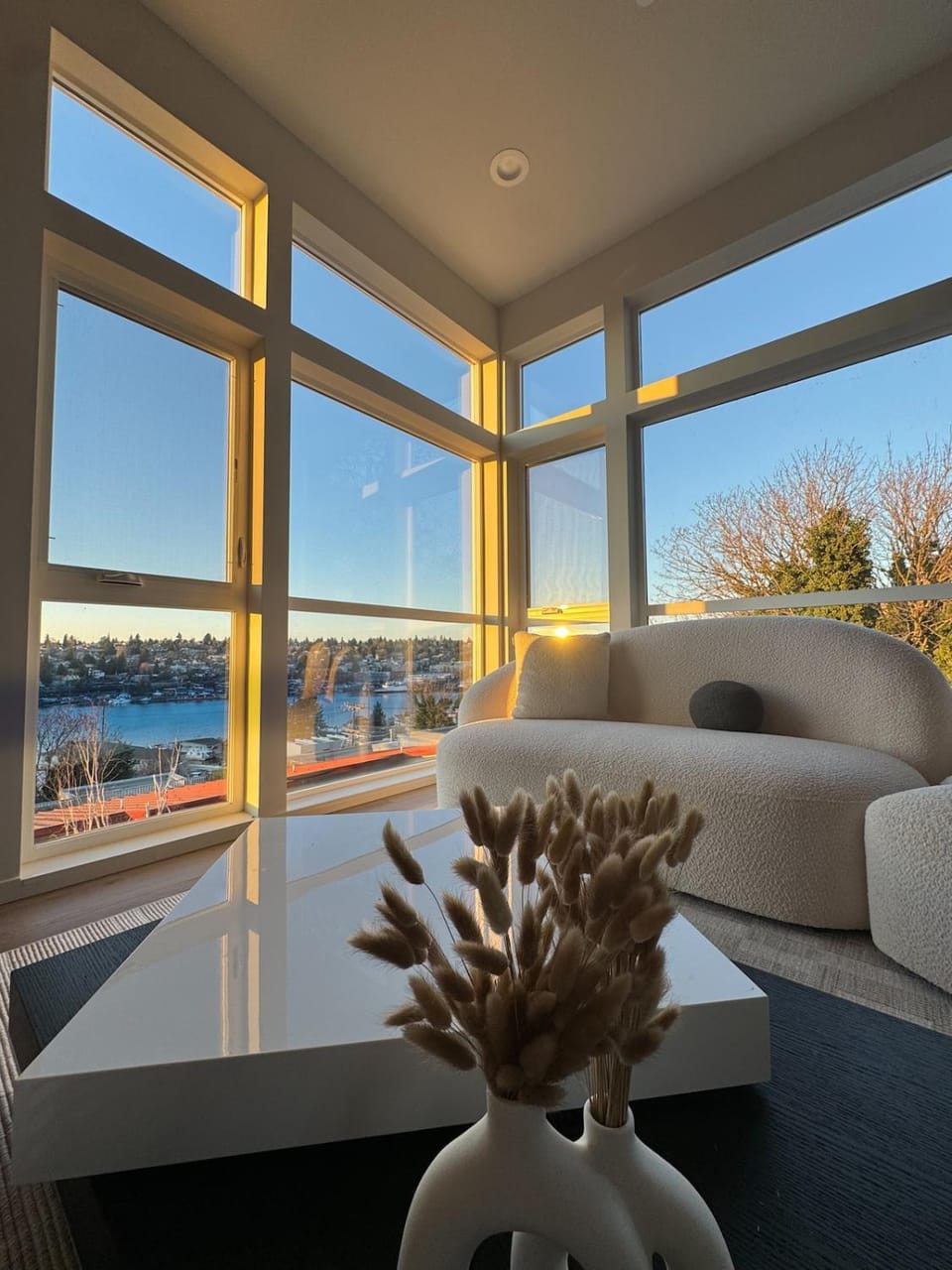 Living room, Lake view