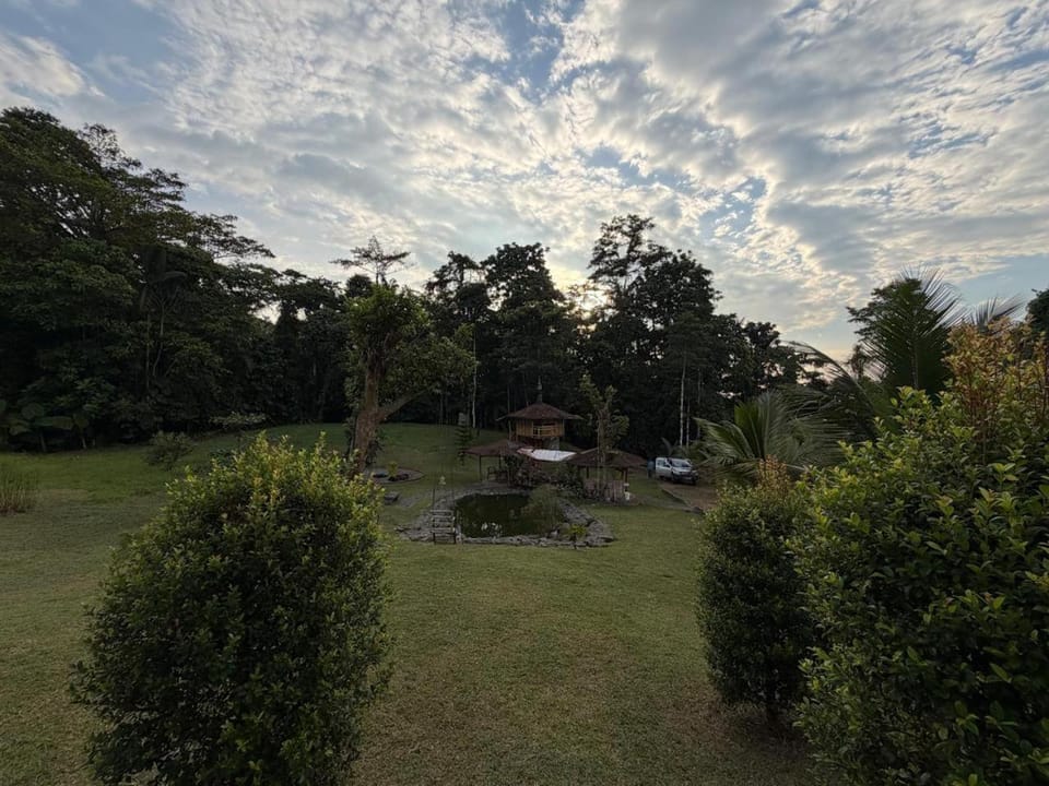 Natural landscape, Garden, Garden, Garden view