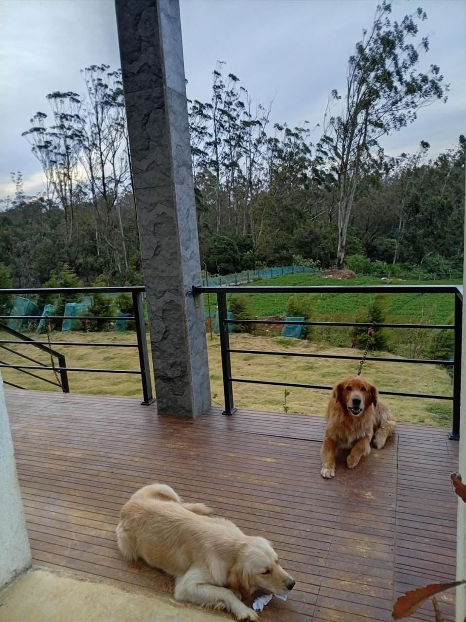 Skye in Hortons Hotel in Uva Province, Sri Lanka