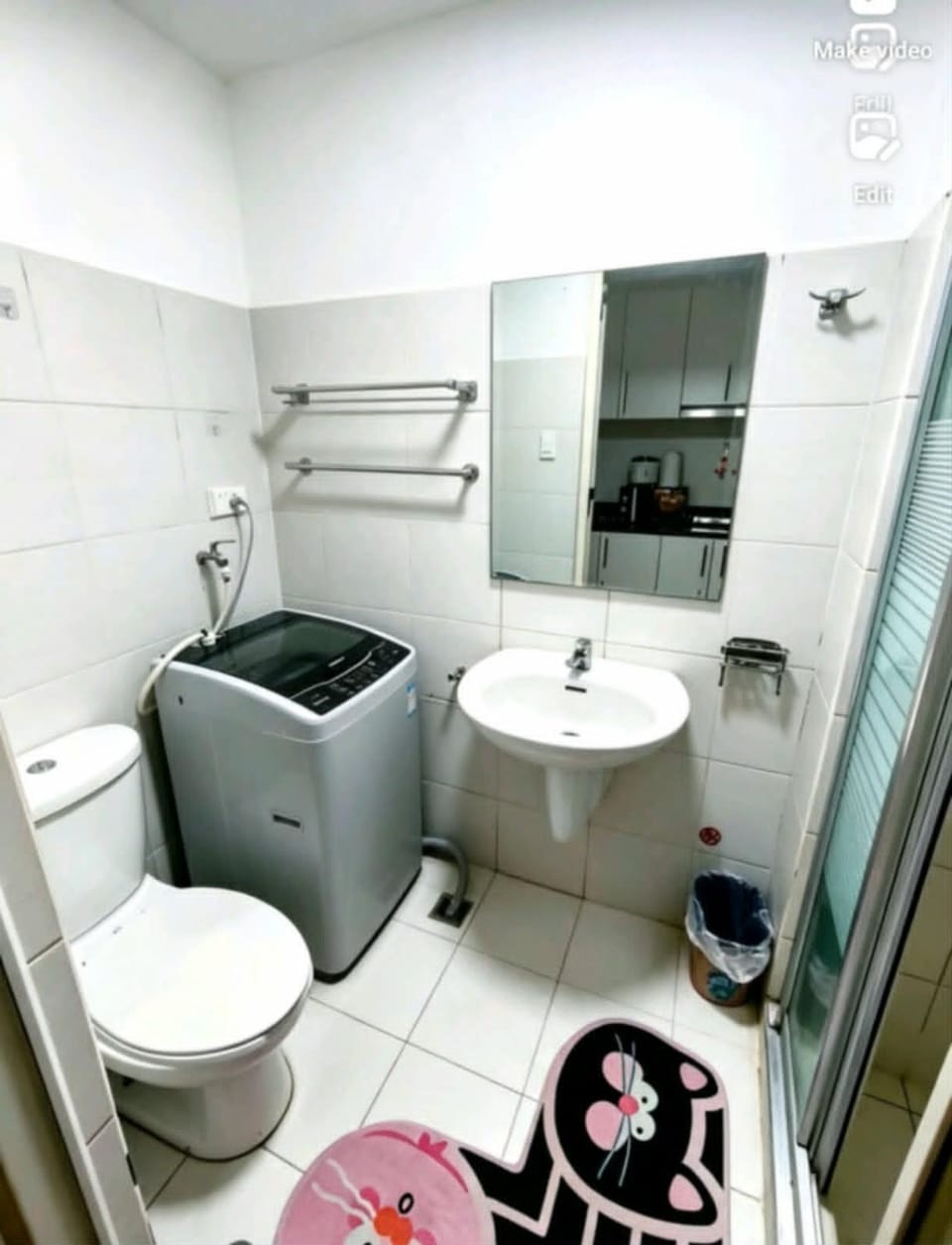 Toilet, washing machine