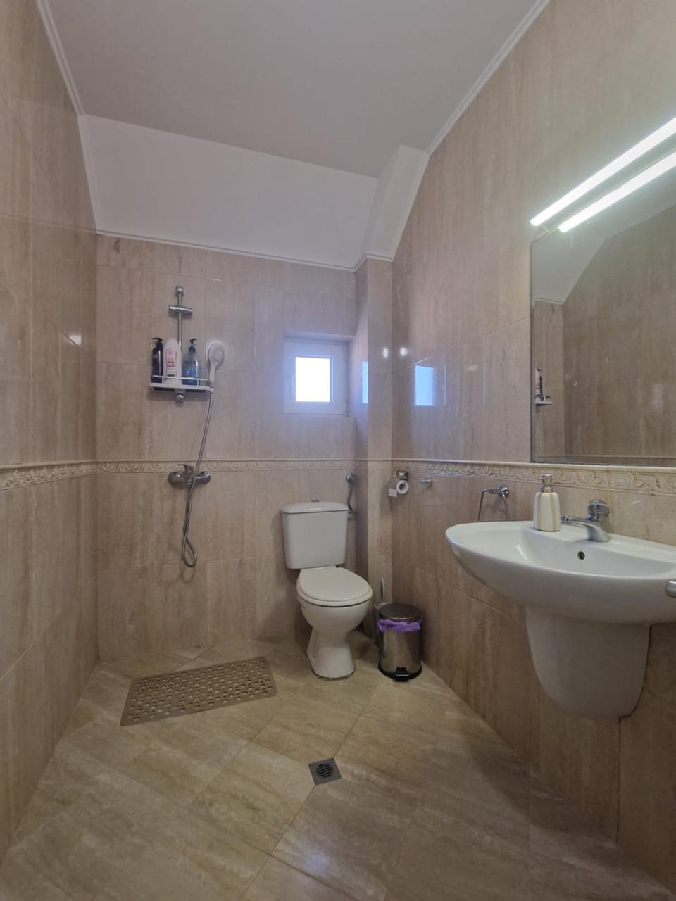 Shower, Toilet, Bathroom