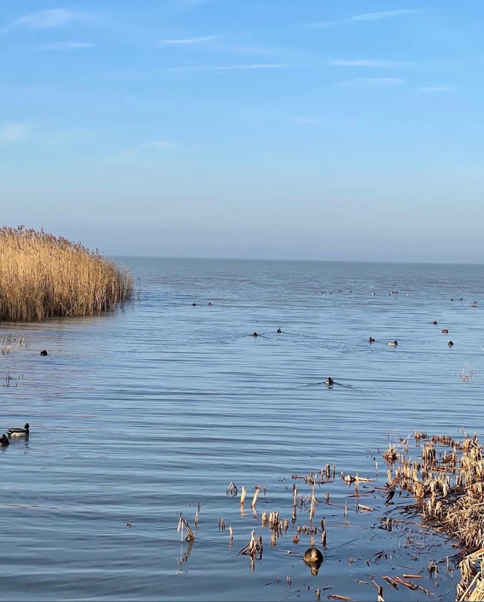 Natural landscape