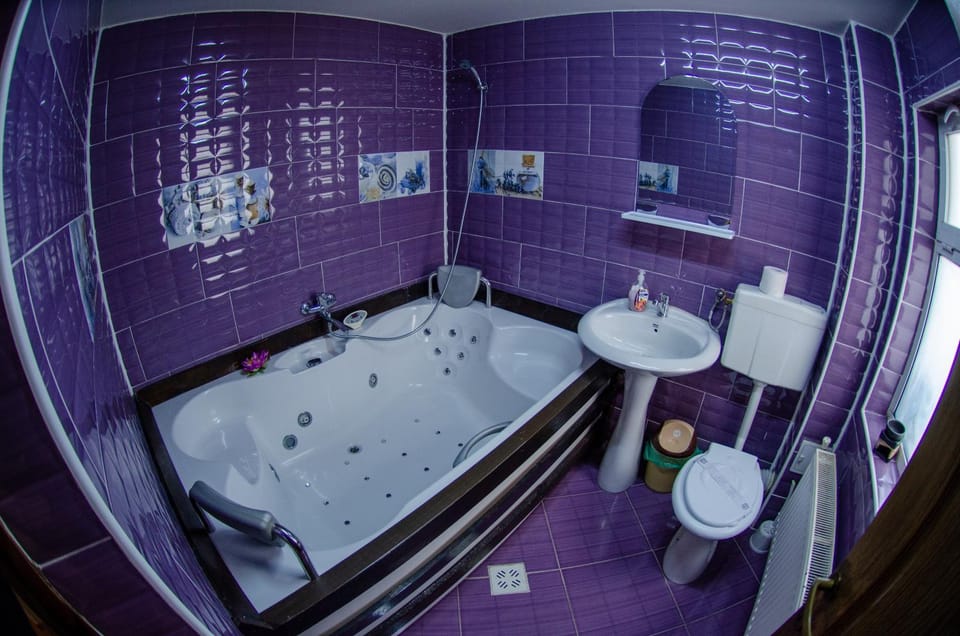 Casa Adonis Apartment in Sinaia