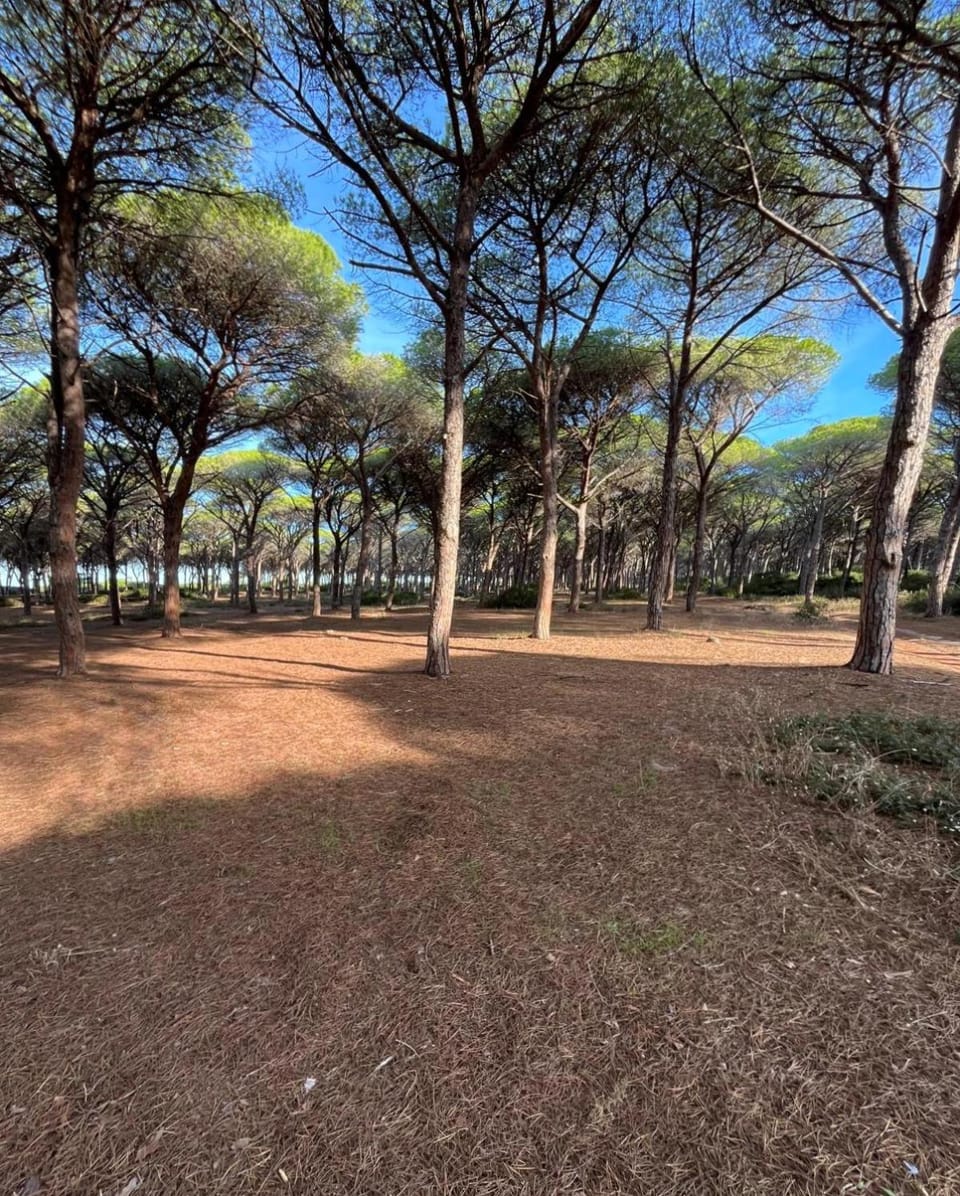 Garden 24 Bed and Breakfast in Sardinia