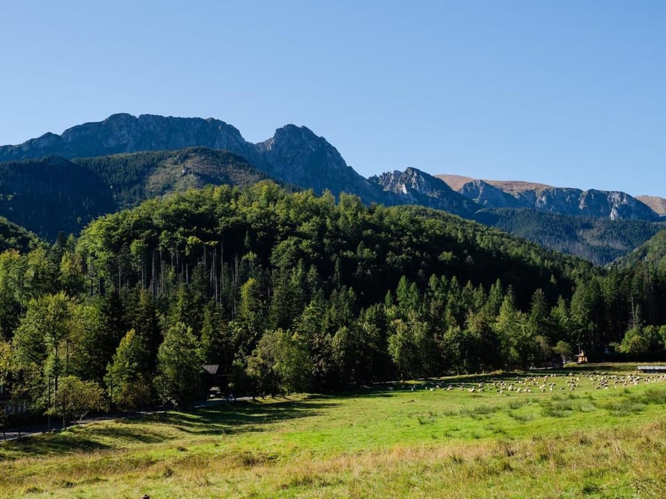 Rezydencja Strążyska 21A 5 Apartment in Zakopane