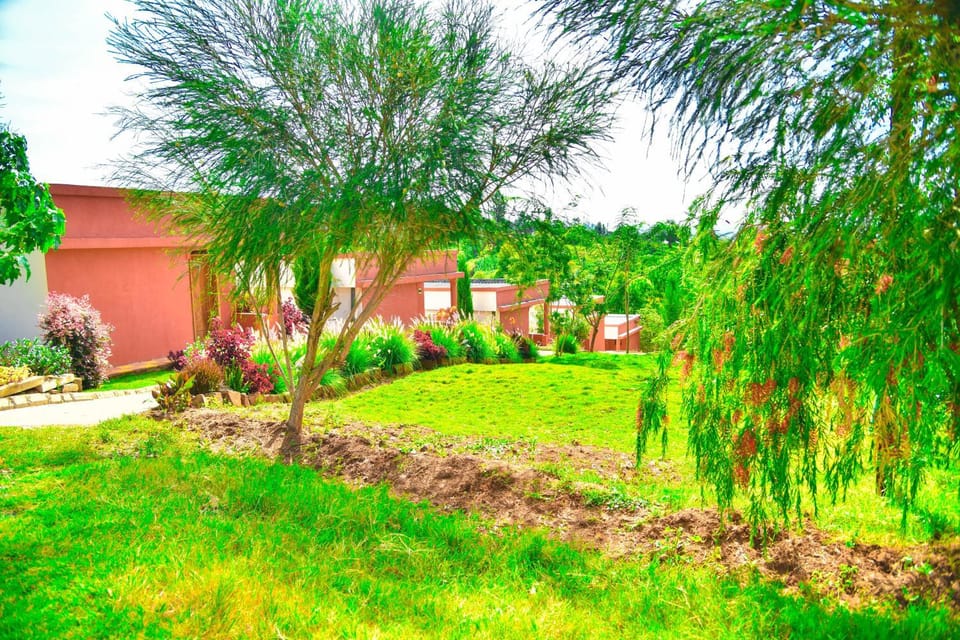 Property building, Garden view