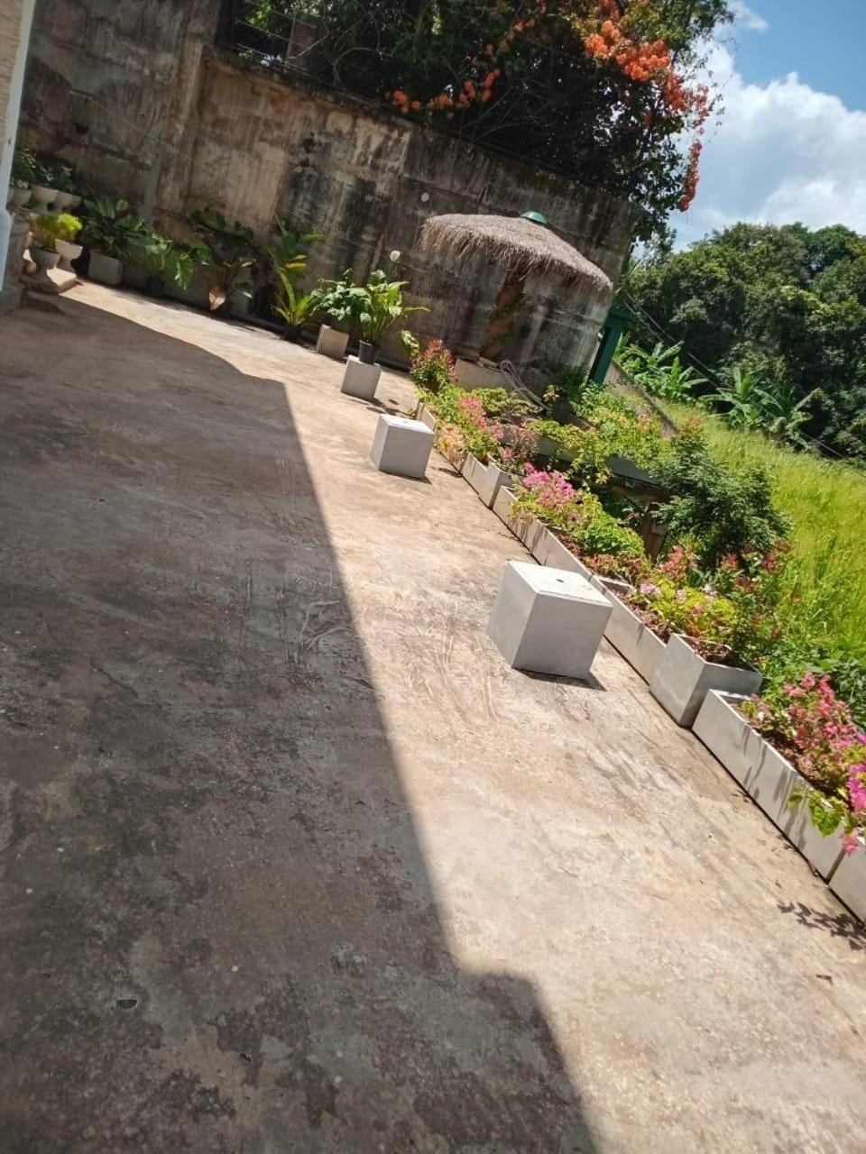 Garden, Balcony/Terrace