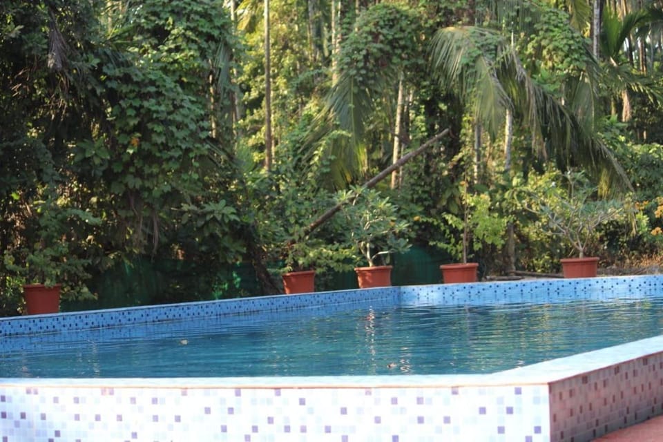 Swimming pool, Swimming pool