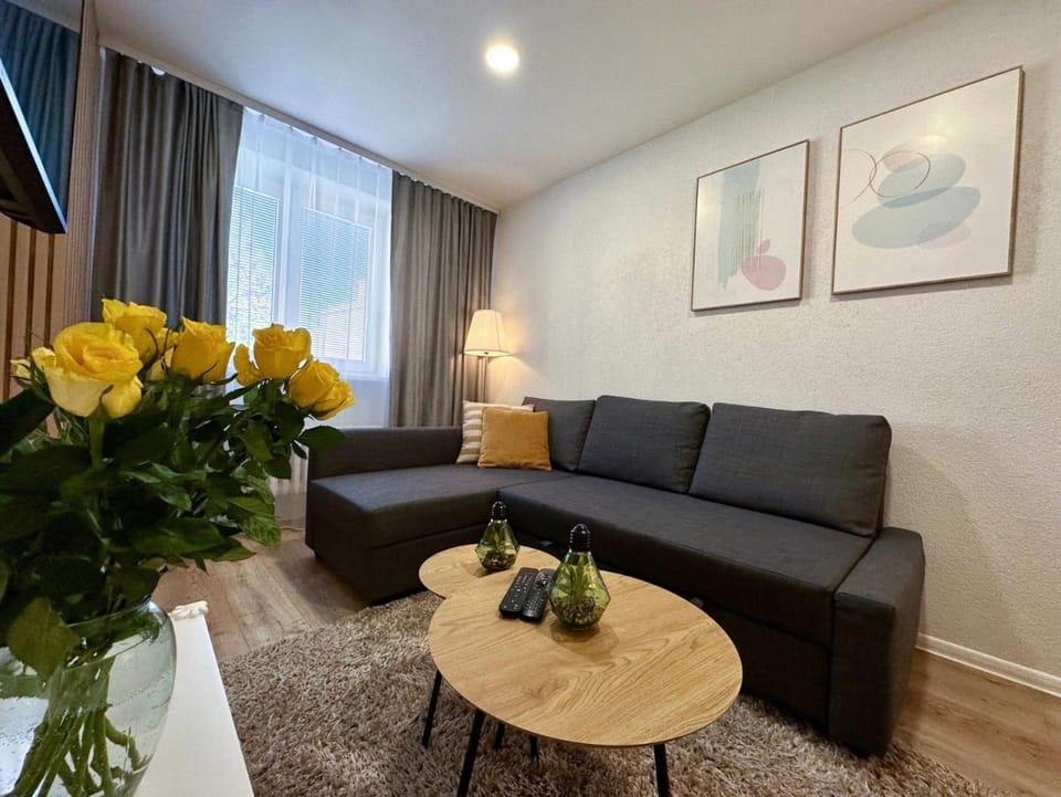 Apartmán v blízkosti Bojnic Apartment in Slovakia