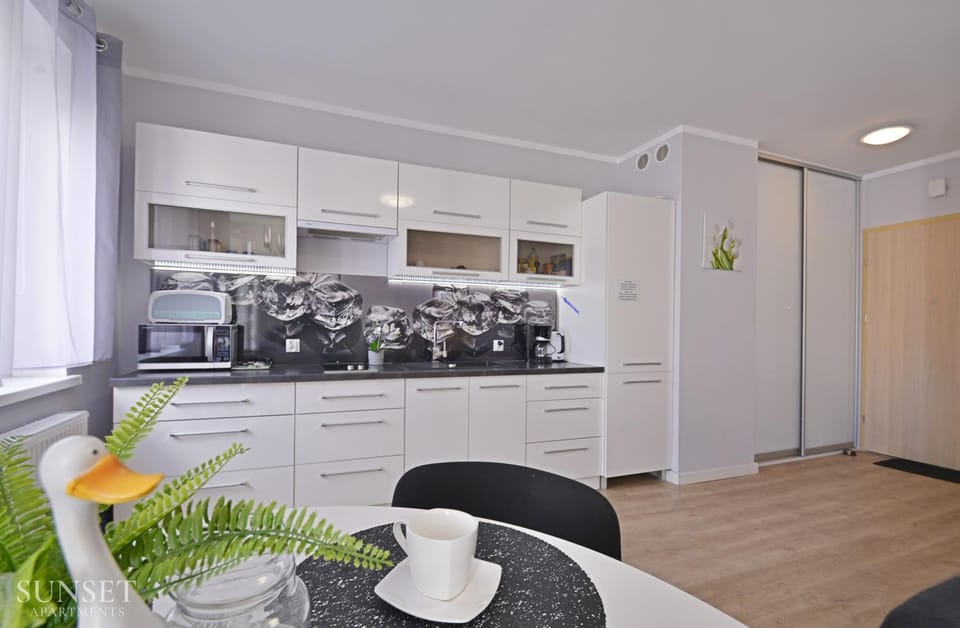 Kitchen or kitchenette, oven, stove