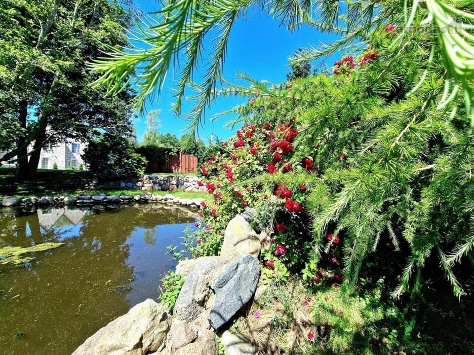 Best place 2 min walking till the beach Apartment in Palanga