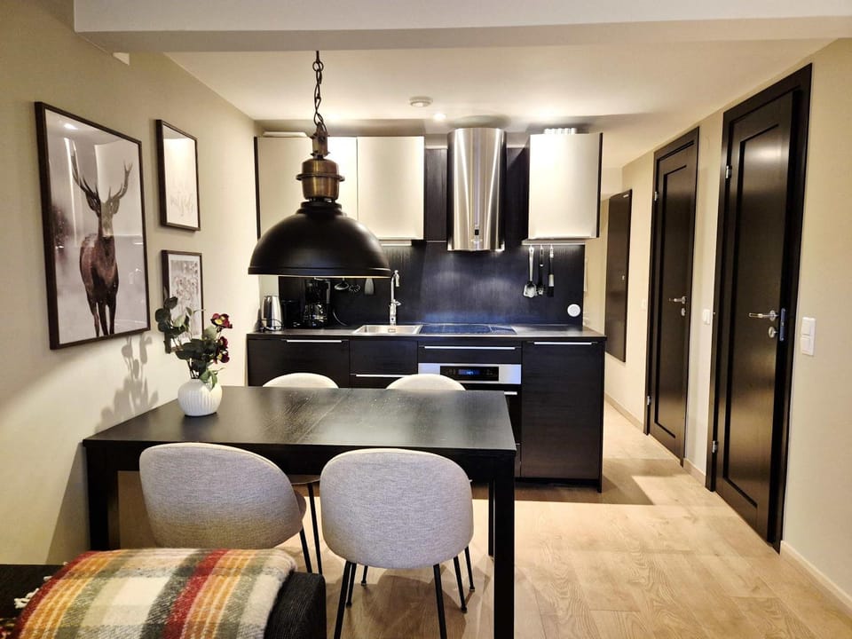2BR Apartment with Private Patio Apartment in Sweden