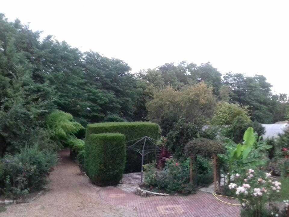 Gîte des Orchidées, 5 minutes du Zoo de Beauval House in Centre-Val de Loire