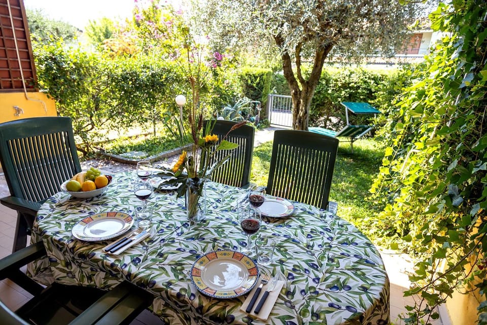 Patio, Spring, Day, Garden, Dining area, Garden view