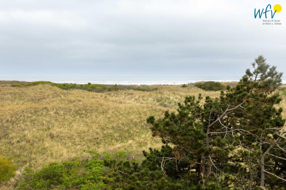 Natural landscape
