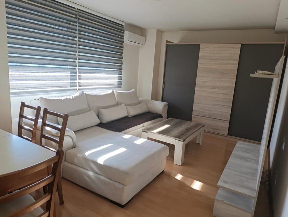 Living room, Photo of the whole room, Seating area, wardrobe, air conditioner