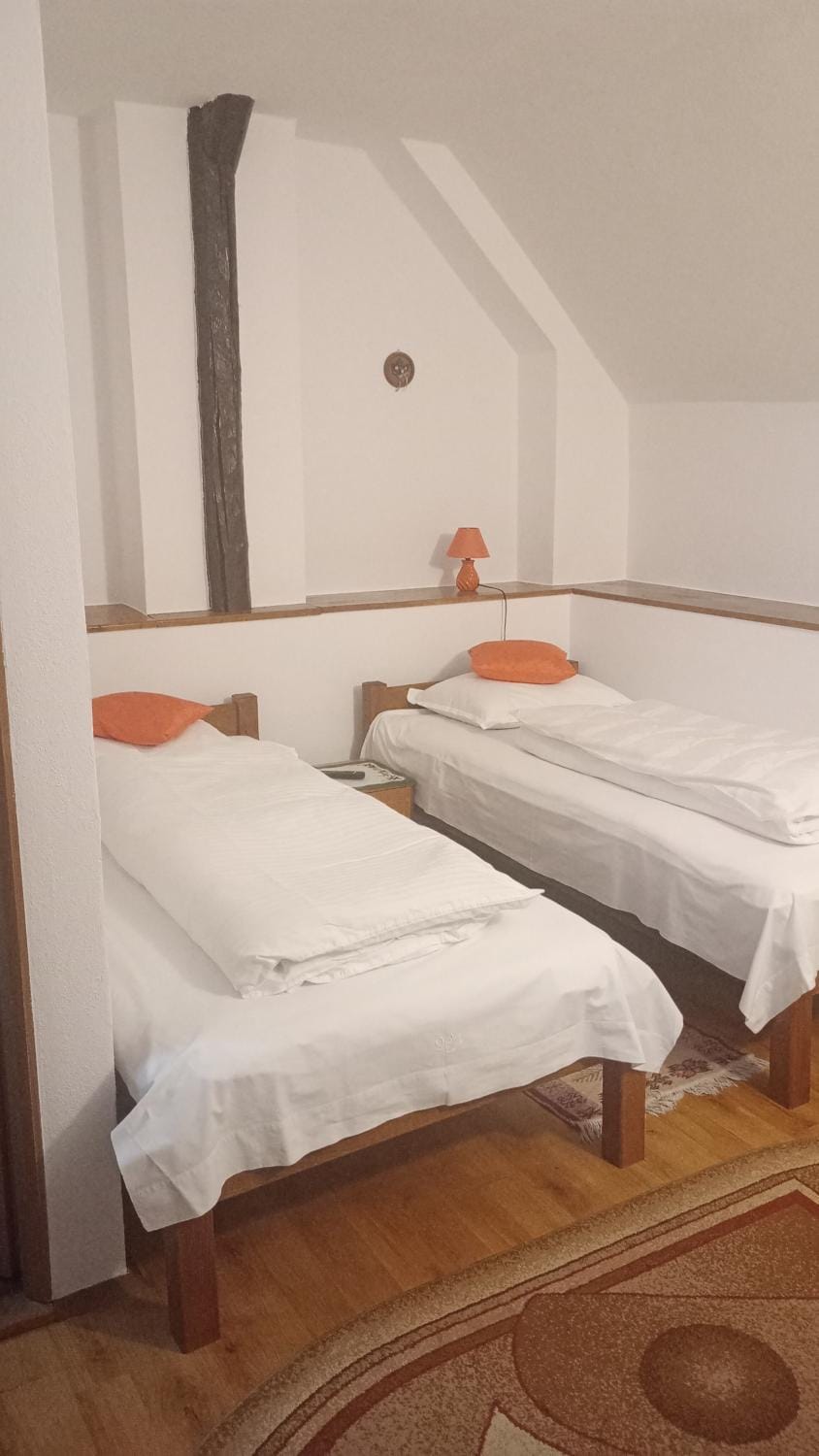 CASA IOANA Zarnesti Bed and Breakfast in Brașov County
