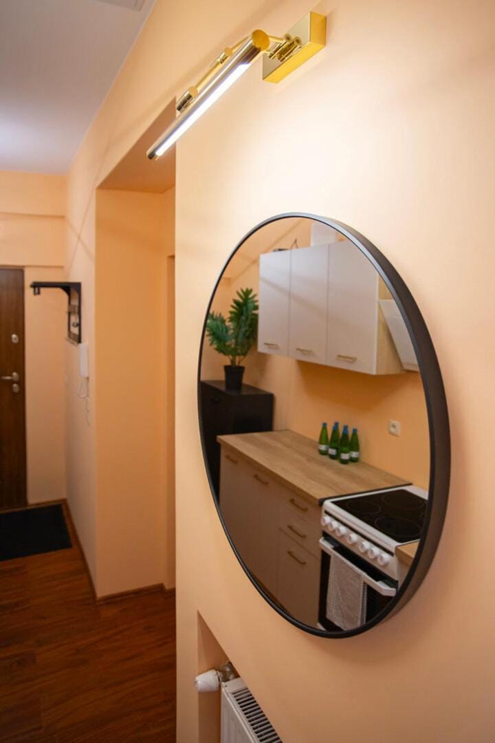 Potworowskiego 17 Słoneczny Apartament obok P Wilsona i MTP Apartment in Poznan