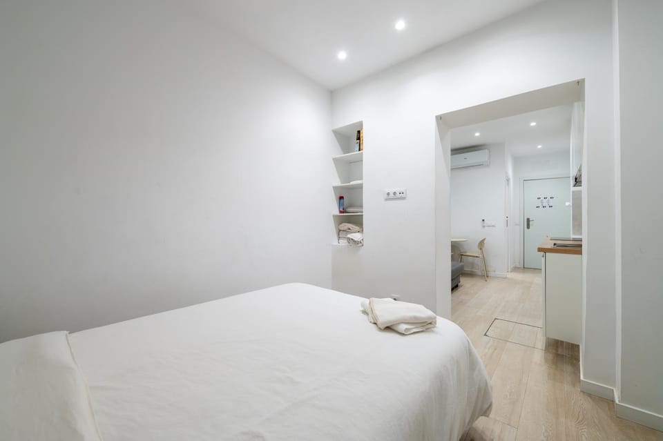 Garcilaso 13 Apartment in Madrid