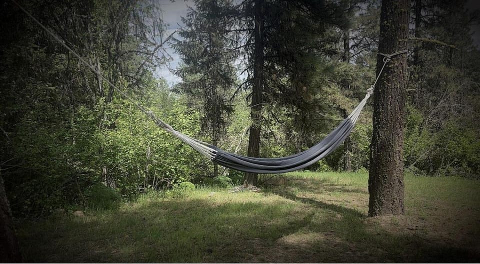 Relaxing Sleeper Cabins with Campfire Area Near Orofino, Idaho Cabin in Nez Perce