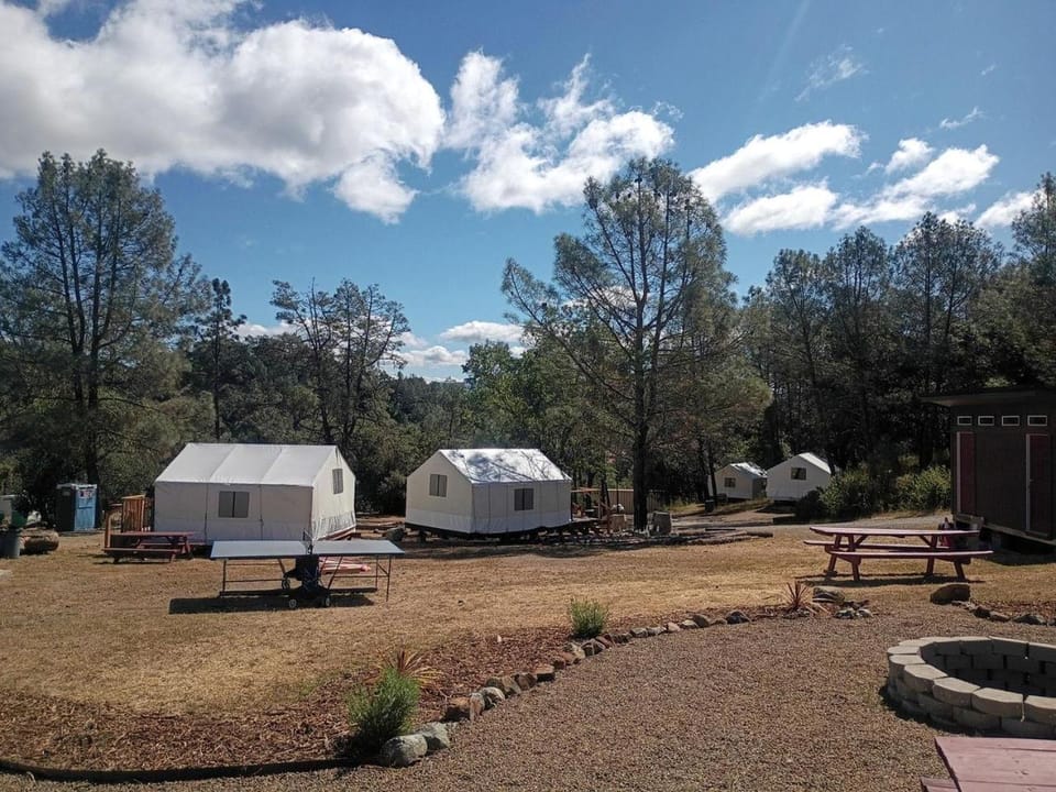 Scenic Canvas Escape with Firepit & Picnic Table in Geyserville, California House in Sonoma County
