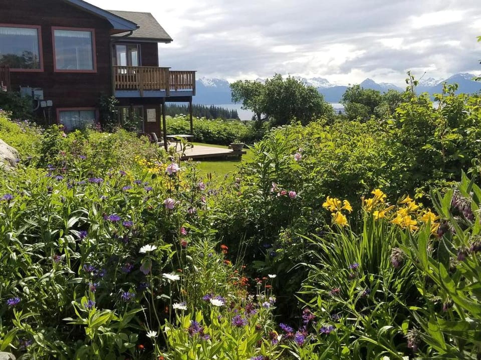Gorgeous View from Comfortable Lodge Overlooking Kachemak Bay in Alaska House in Homer