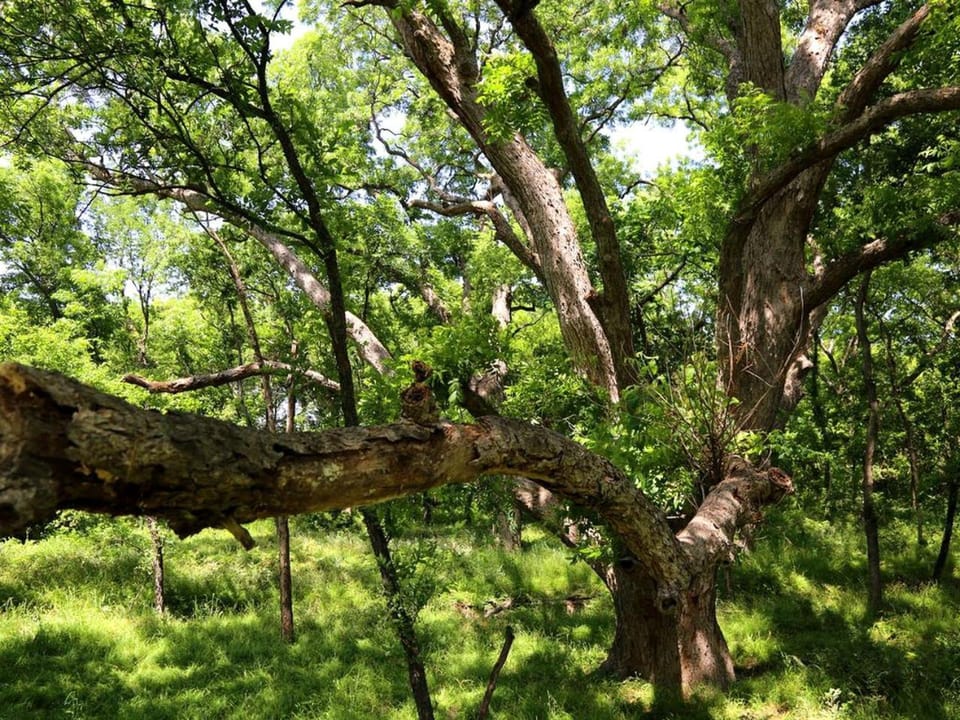 Tranquil Getaway near the Shores of Lake Tawakoni in Hunt County, Texas House in Lake Tawakoni