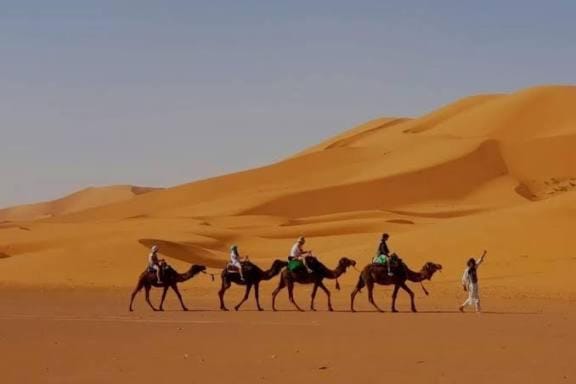 Day, People, Horse-riding, group of guests
