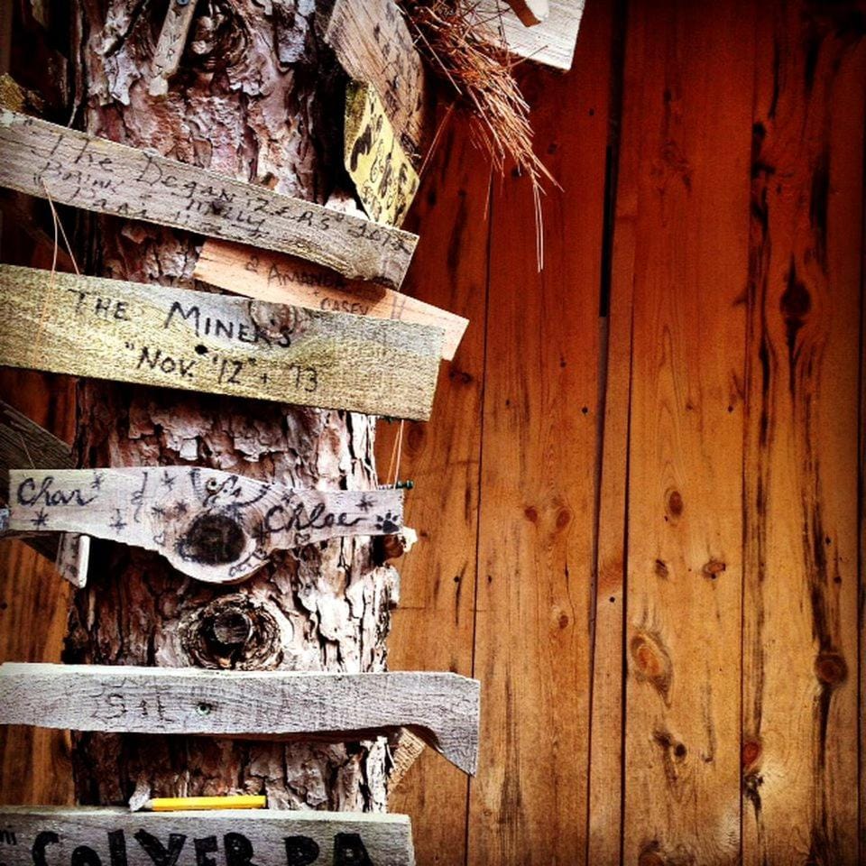 Rustic Camping Cabin in Finger Lakes Wine Country, Upstate New York Cabin in Keuka Lake