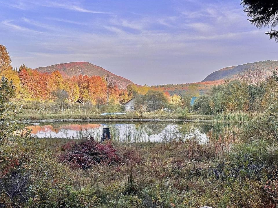 Scenic Off-Grid Cabin with Spring-Fed Pond near Lake Willoughby, Barton, Vermont Cabin in Westmore