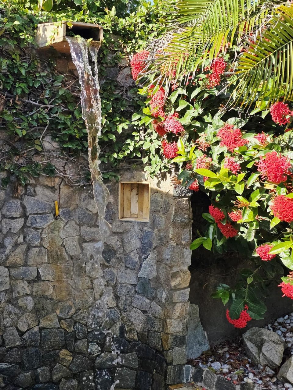 Garden, Swimming pool, Public Bath
