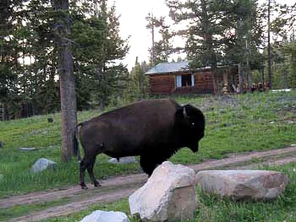 Vacation Rental with a Hot Tub in Gardiner, Montana House in Baldwin