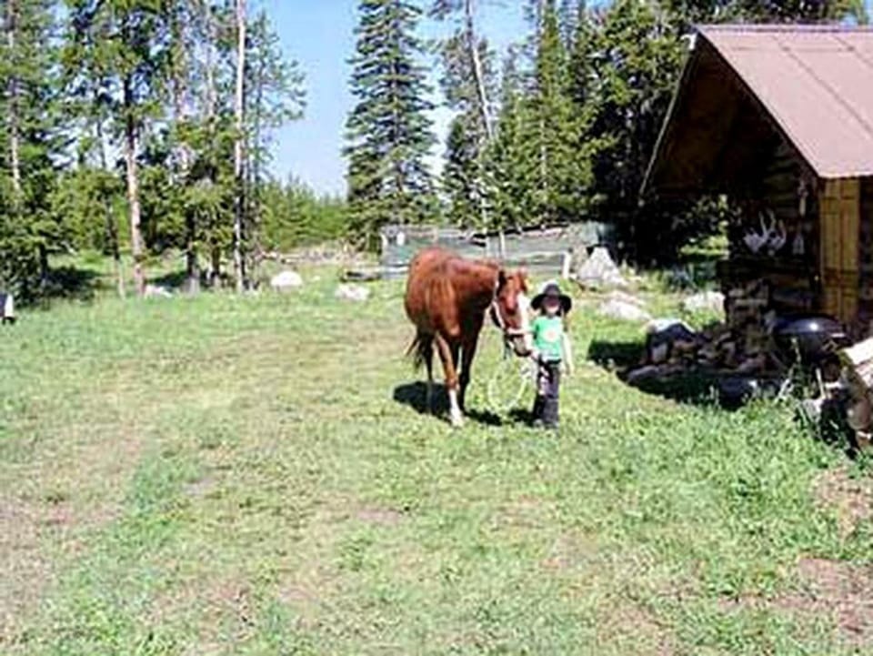 Vacation Rental with a Hot Tub in Gardiner, Montana House in Baldwin