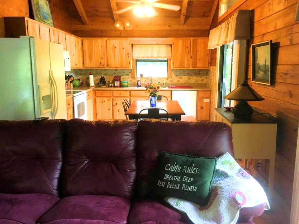 Cozy Log Cabin Getaway in the Woodlands near the Appalachian Trail in Georgia Cabin in Hiawassee