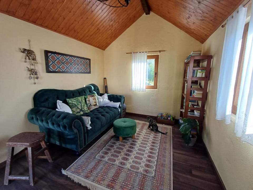 Library, Seating area