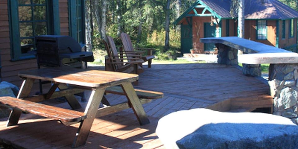 Charming Family-Friendly Cabin Rental with Beautiful Views in Talkeetna, Alaska Cabin in Talkeetna