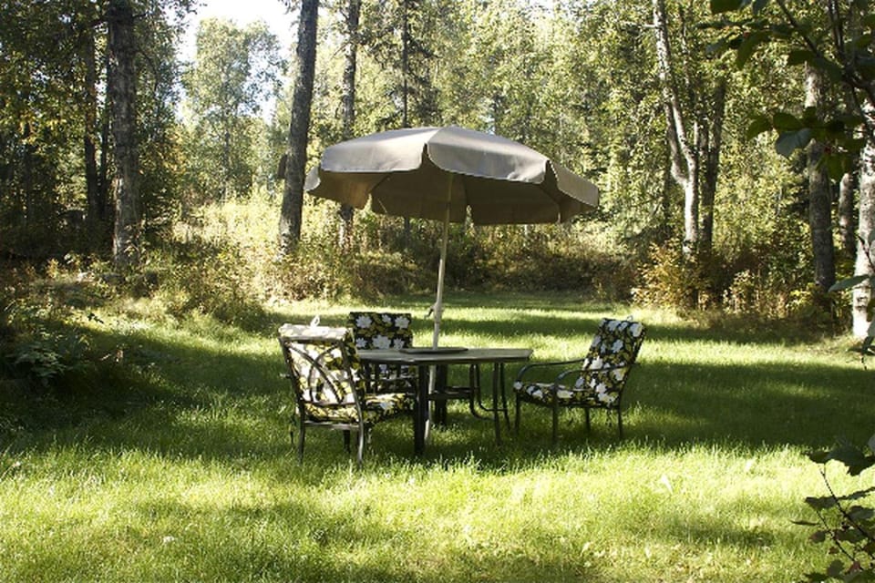 Superb Cabin Rental with Fire Pit and BBQ near Denali National Park, Alaska Cabin in Talkeetna