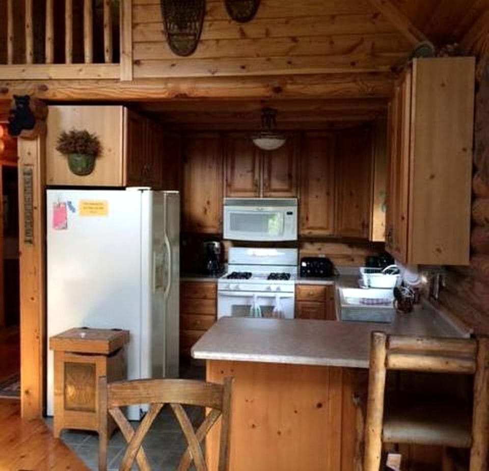Riverside Log Cabin Perfect for a Secluded Getaway near Kalamazoo, Michigan Cabin in Centreville