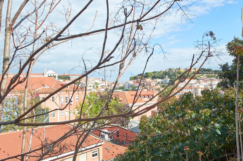 View (from property/room)