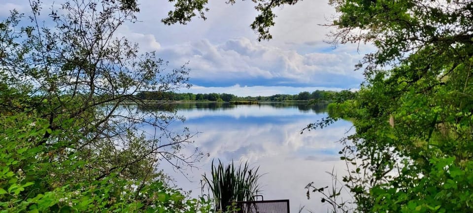 A charming house in the heart of the Brenne House in Centre-Val de Loire