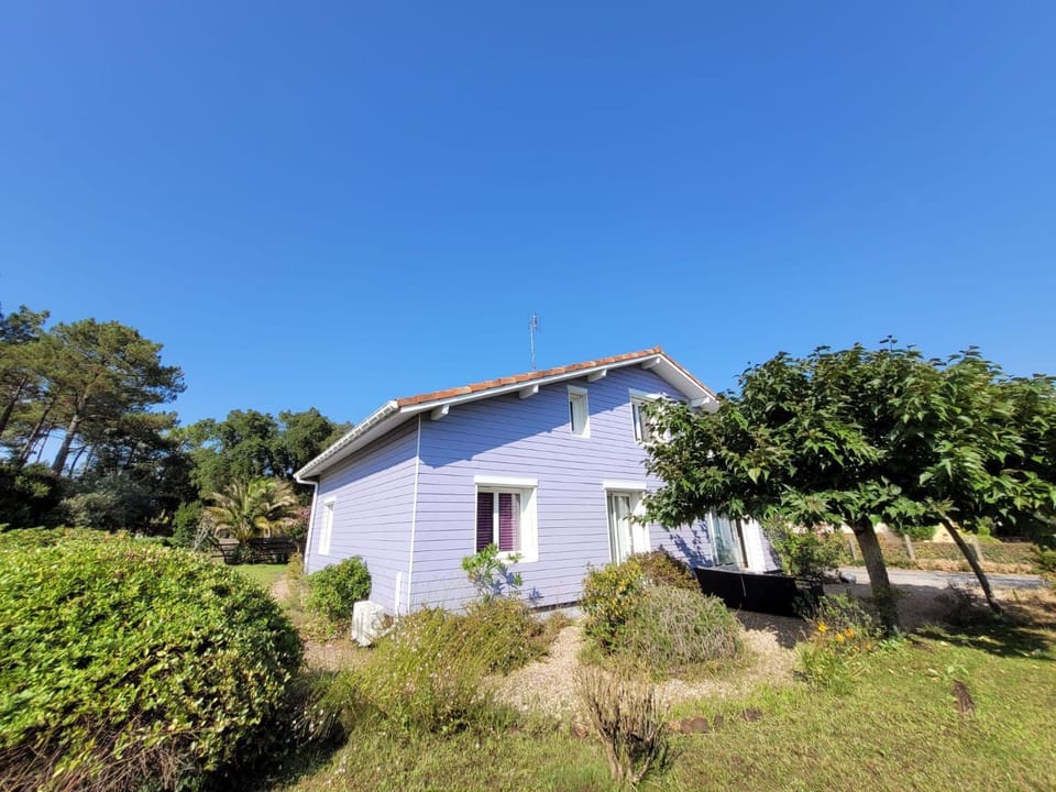 Property building, Garden, Garden
