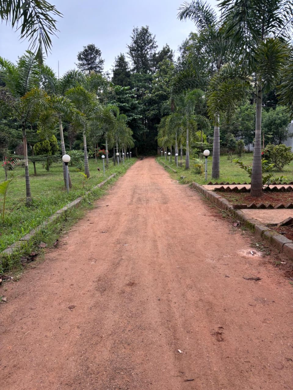 Natural landscape