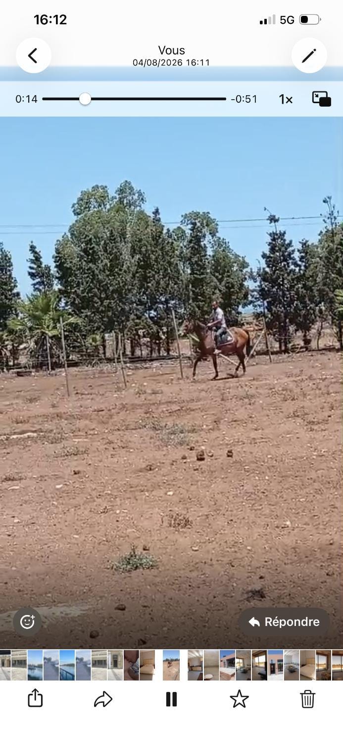 ferme avec chevaux près de la mer Campground/ 
RV Resort in Casablanca-Settat