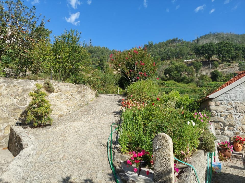 Castelo dos Sonhos Bed and Breakfast in Aveiro District, Portugal