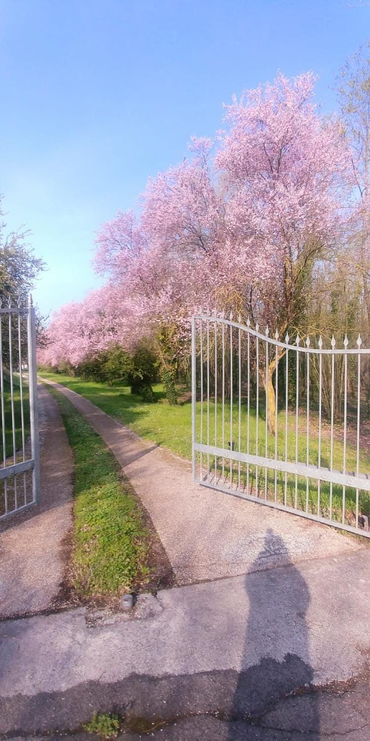 Il bosco di Ettore Apartment in Emilia-Romagna
