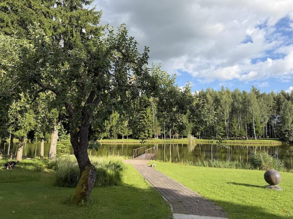 Oak Tree Country House by a Private Lake House in Lithuania