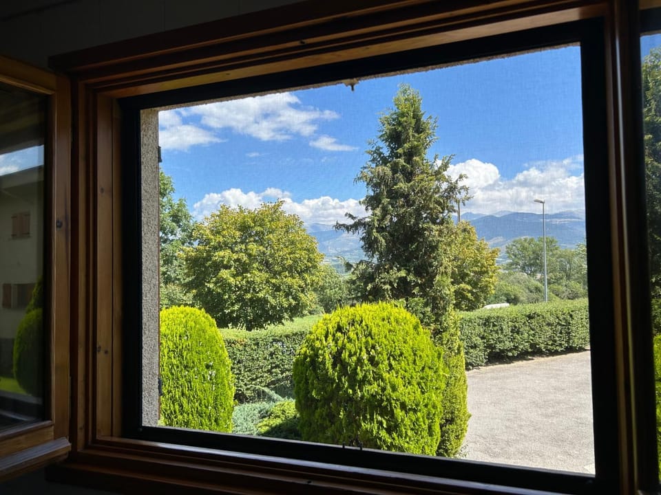 Mountain view